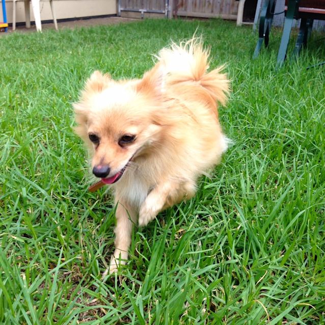 Photo of Rosie Id 30745