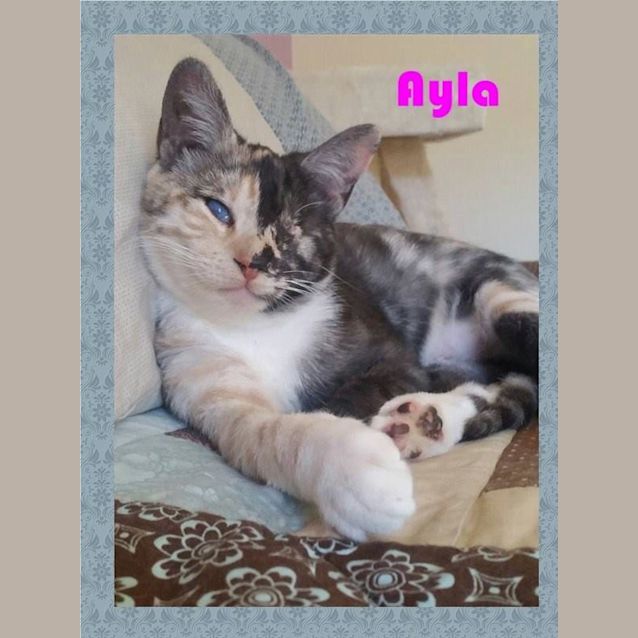 Photo of Ayla