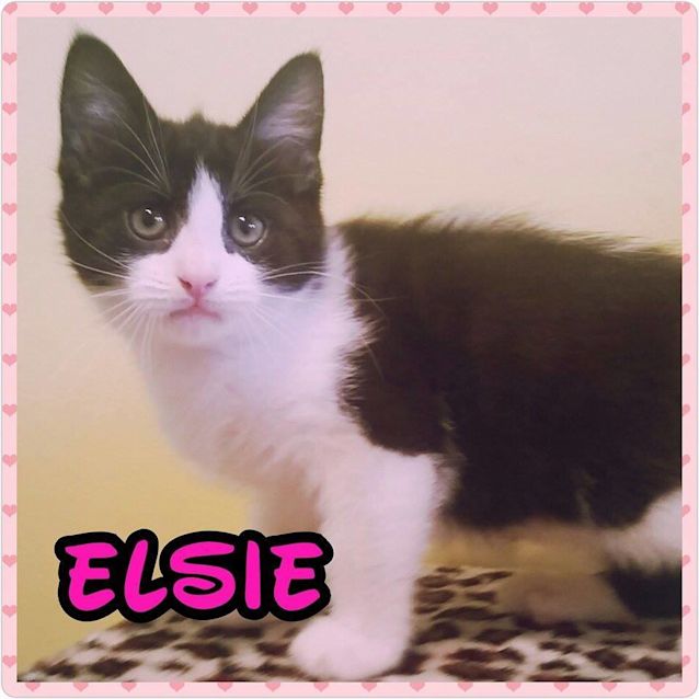 Photo of Elsie