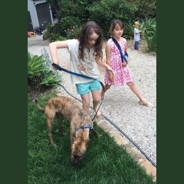 Photo of Sally (Adopted 22/12/15)