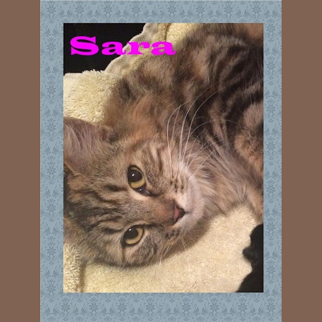 Photo of Sara