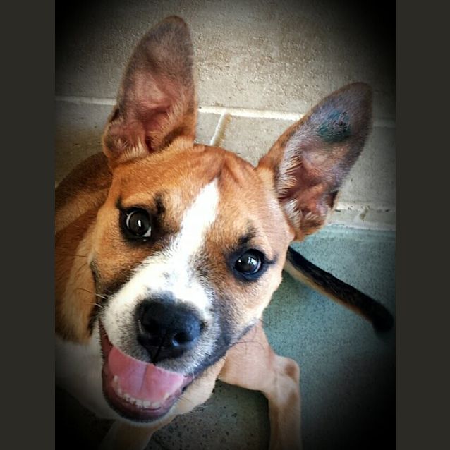 Photo of Tali
