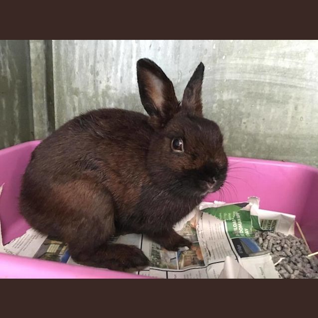 Photo of Mario And Luigi