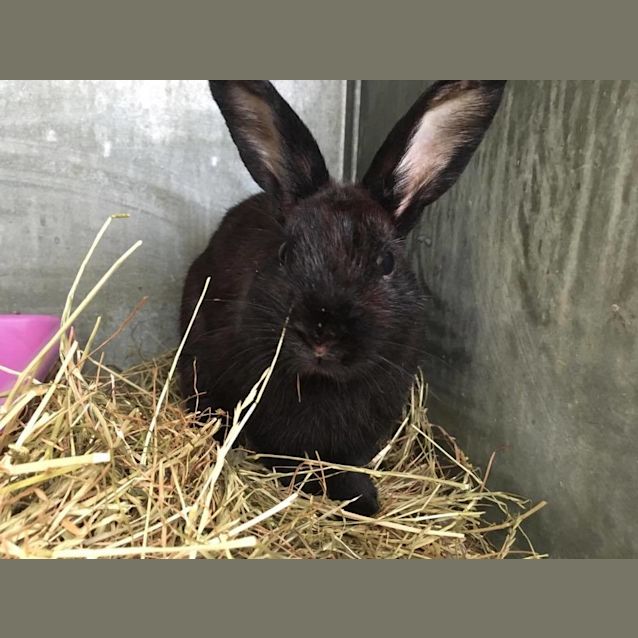 Photo of Mario And Luigi