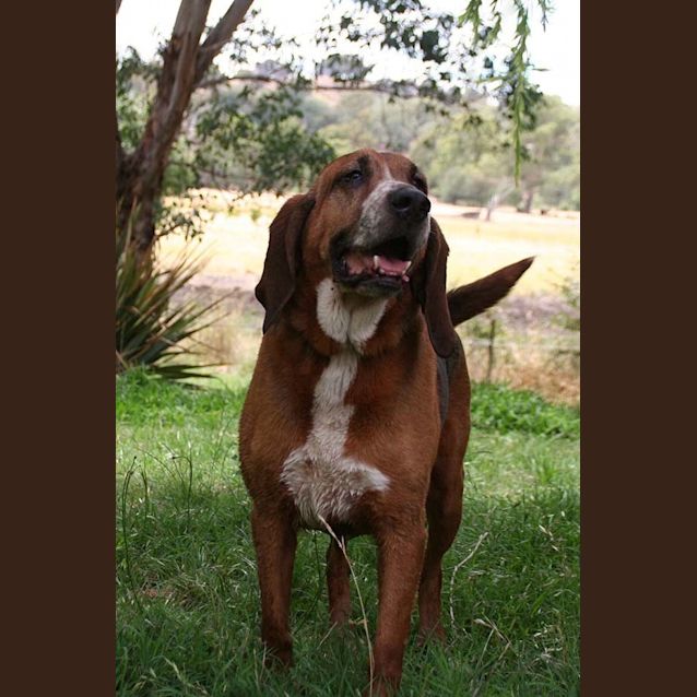 Photo of Ellie Mae