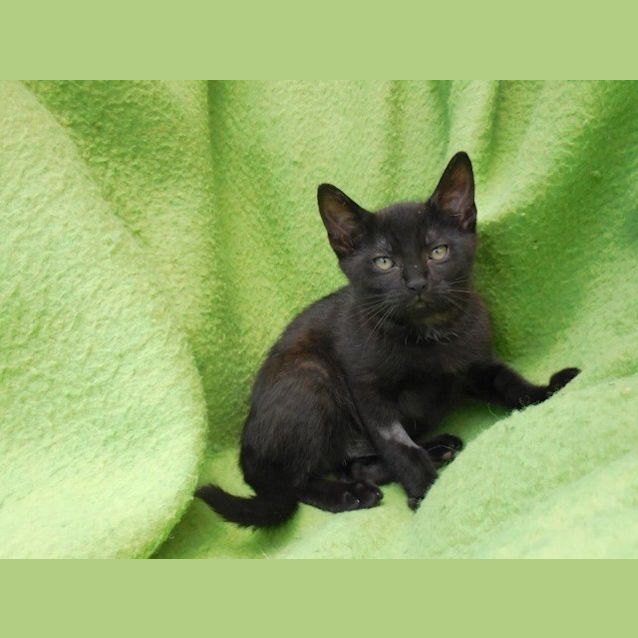 Photo of Lexi Ec0167