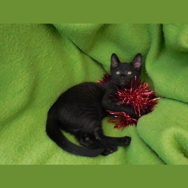 Photo of Lexi Ec0167