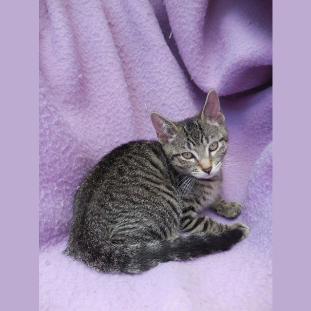 Photo of Tabitha Ec0166 