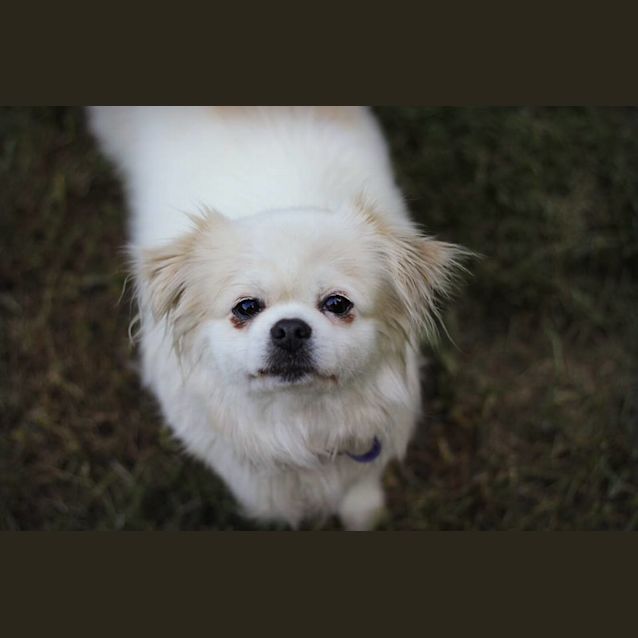 Photo of Zesta 