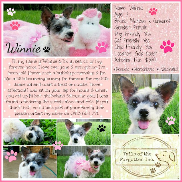 Photo of Winnie