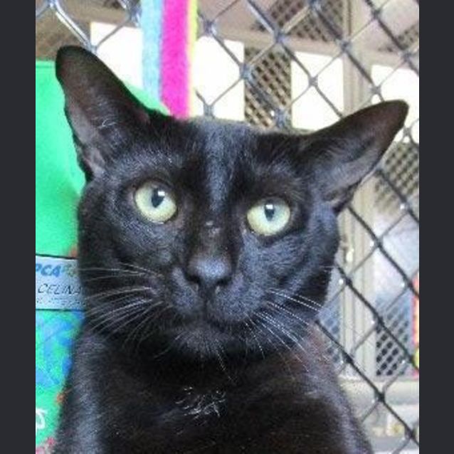 Photo of Humphrey