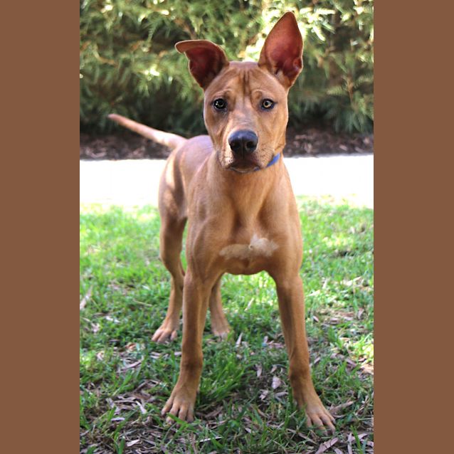 Photo of Runo