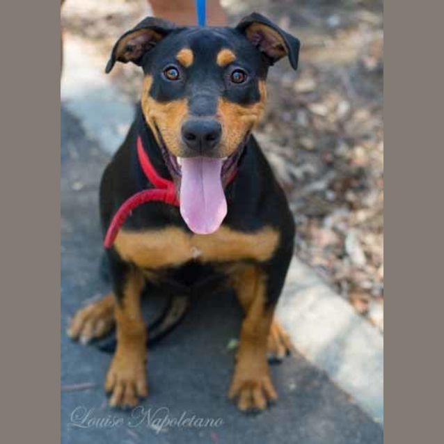 Photo of Jazz