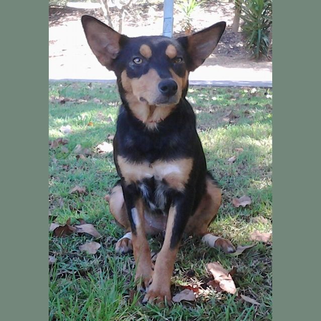 Photo of 034 9620 Betty