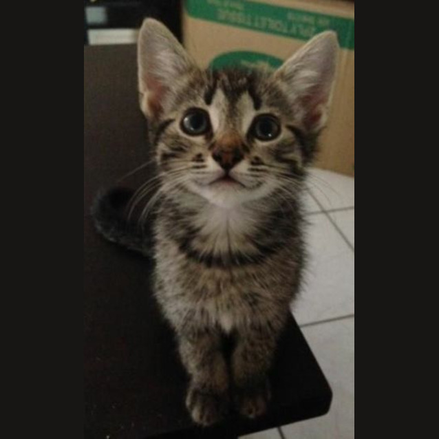 Photo of Lucy