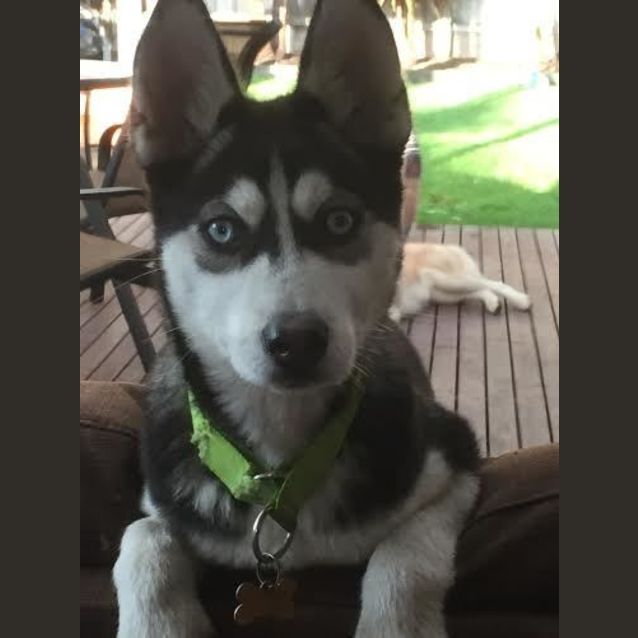 Photo of Ice