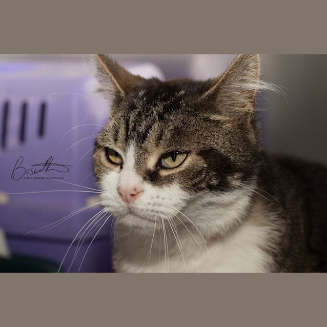 Photo of Smitty