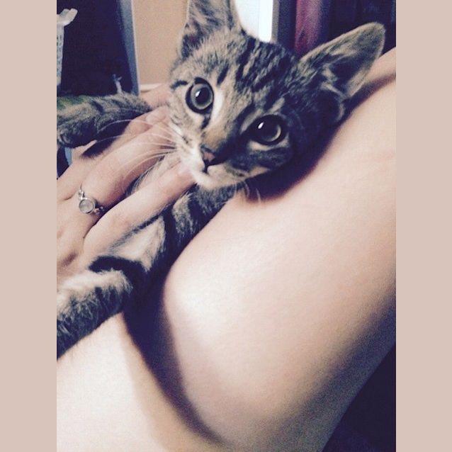 Photo of Fudge Ec0169