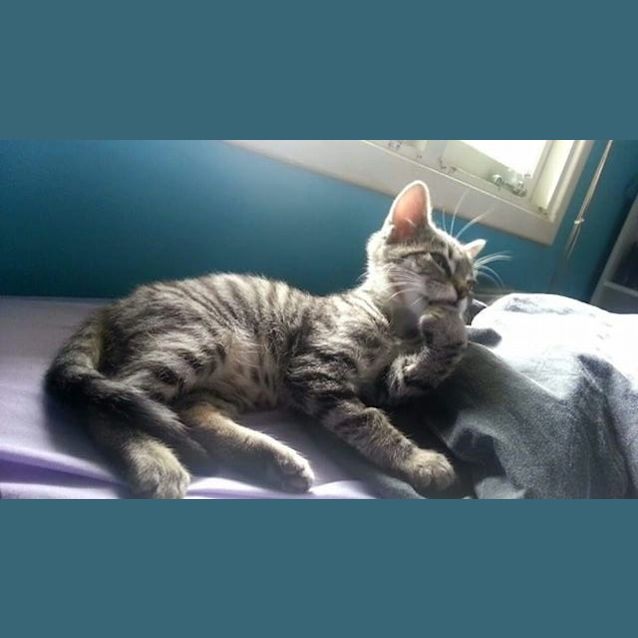 Photo of Fudge Ec0169