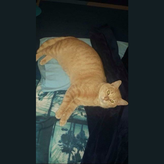 Photo of Dusty