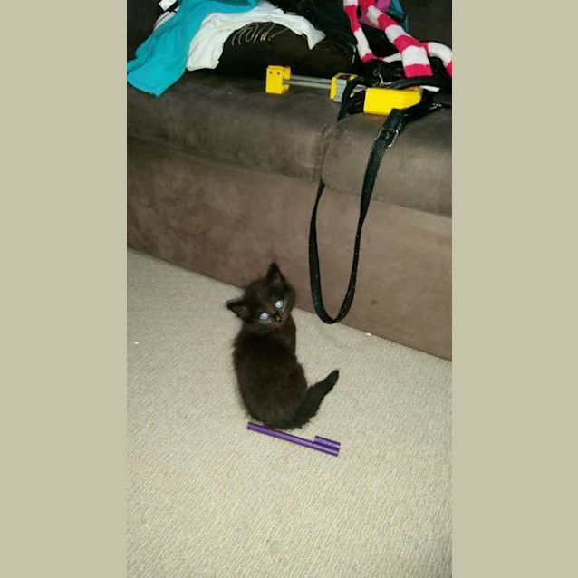 Photo of Teddy