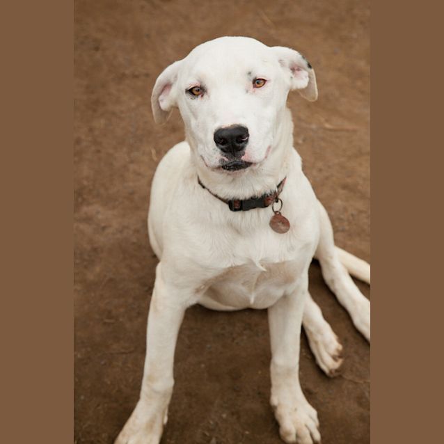Photo of Rozi