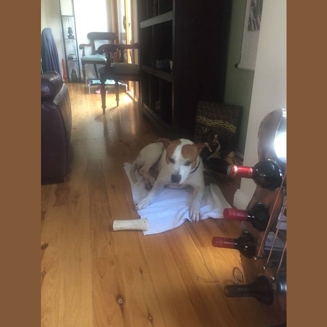 Photo of Joseph ** A Total Love Bug **