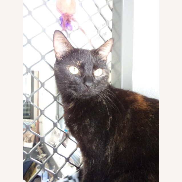 Photo of Freda