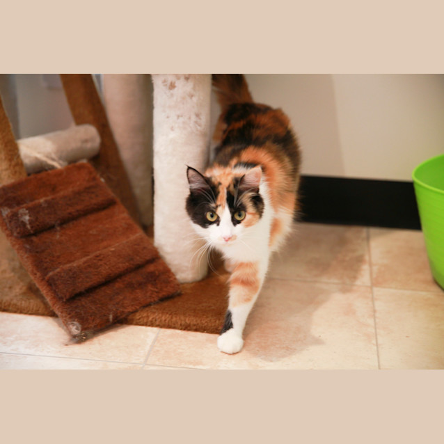 Photo of Melodee