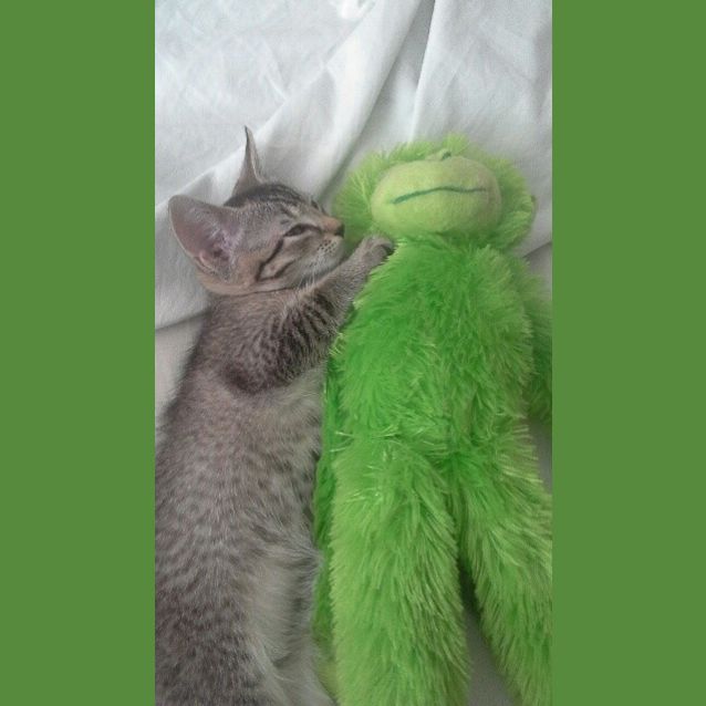 Photo of Hugo & Betsy