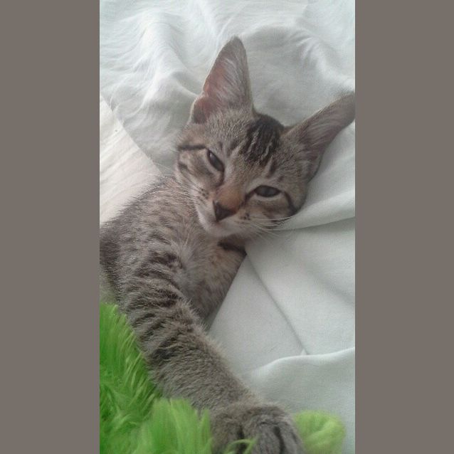 Photo of Hugo & Betsy