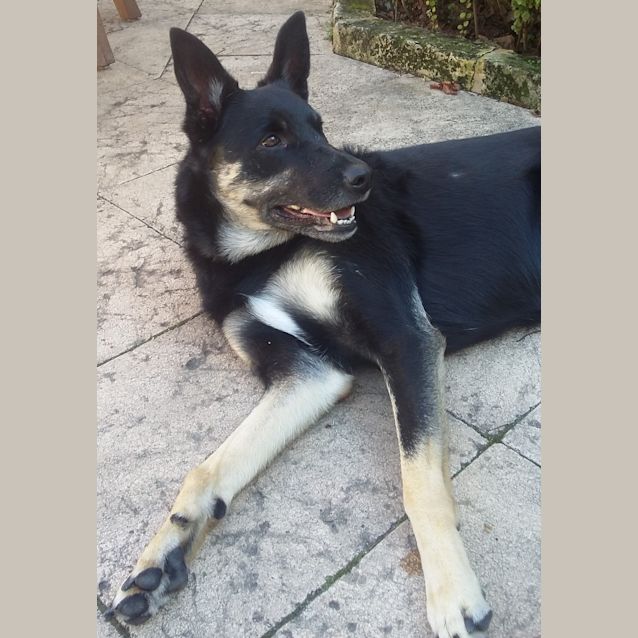Photo of Lola