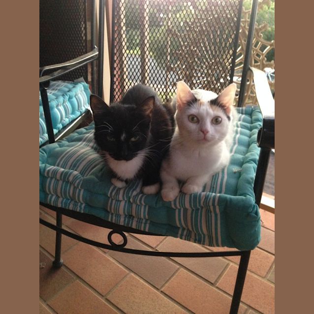 Photo of Chloe & Tilly 