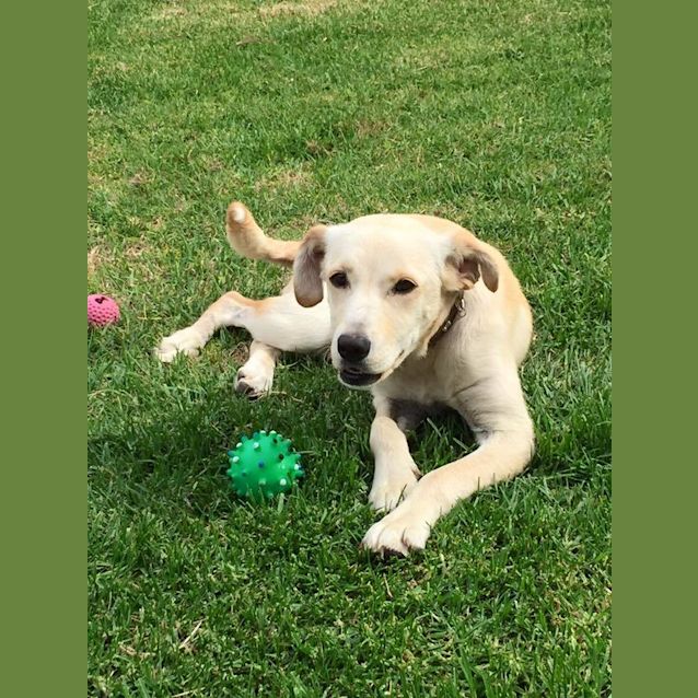 Photo of Smiley Miley (Going On Trial)