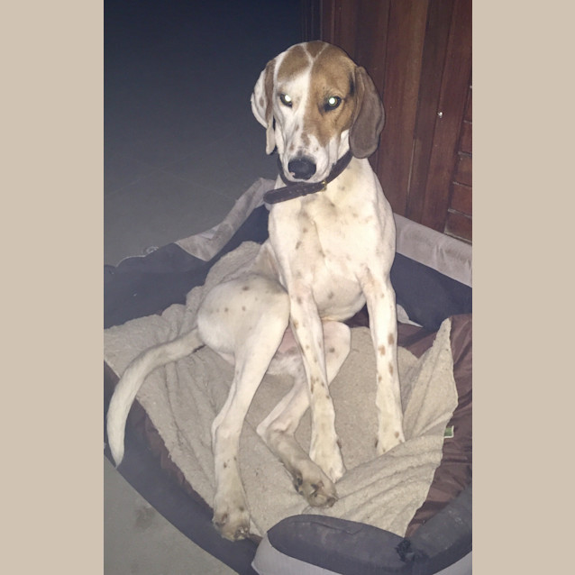 Photo of Hugo