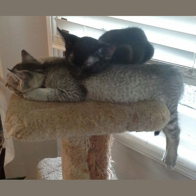 Photo of Hugo & Betsy