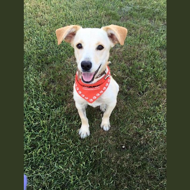 Photo of Smiley Miley (Going On Trial)