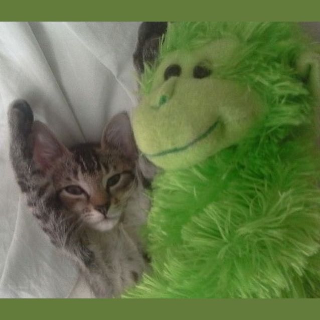 Photo of Hugo & Betsy