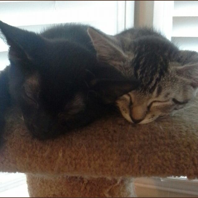 Photo of Hugo & Betsy