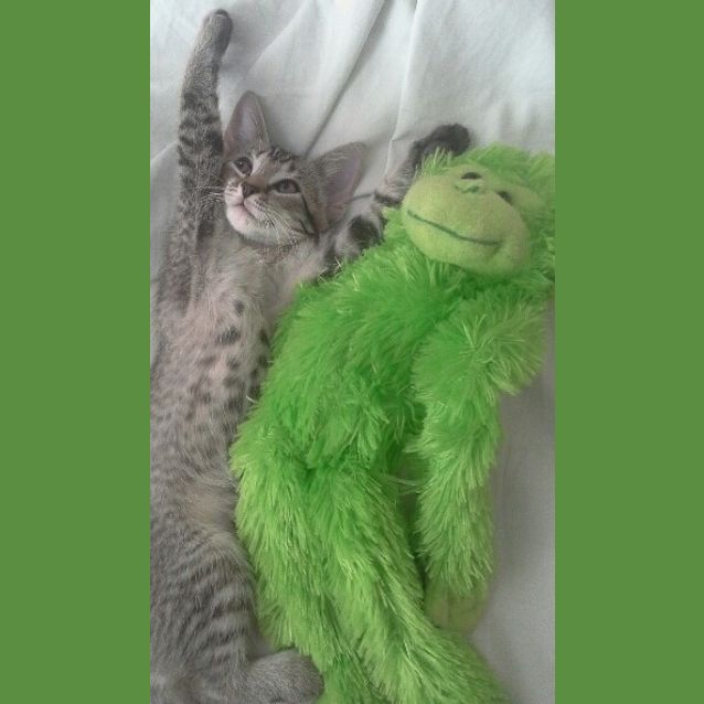 Photo of Hugo & Betsy