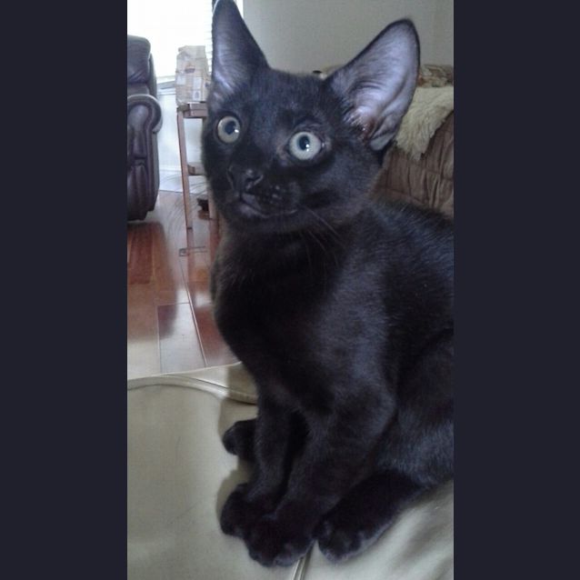 Photo of Hugo & Betsy