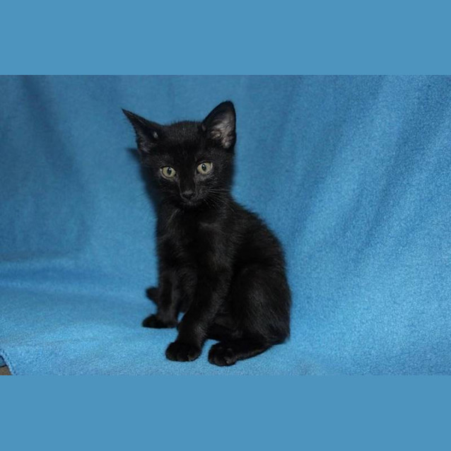 Photo of Tom