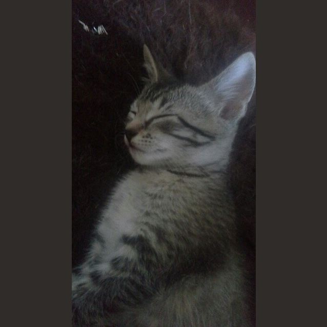 Photo of Hugo & Betsy