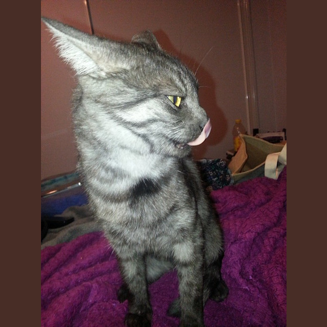 Photo of Lara