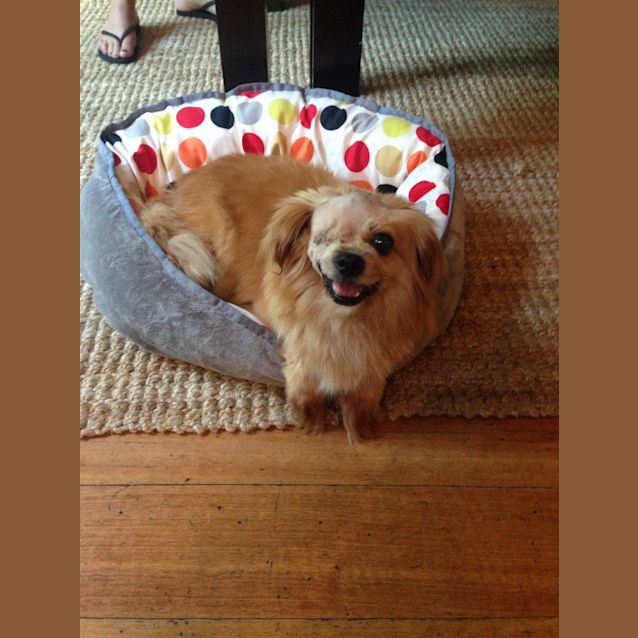 Photo of Roberta
