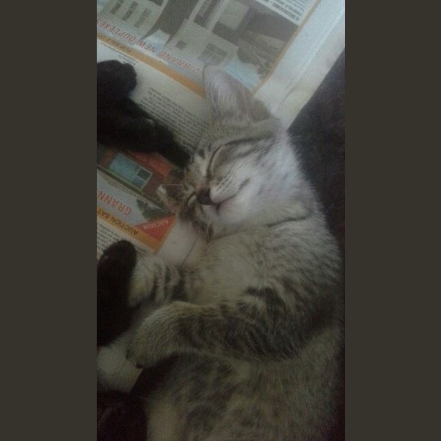 Photo of Hugo & Betsy