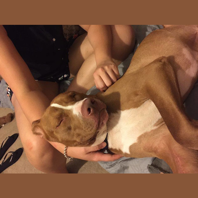 Photo of Magic Mikey *Adoption Pending*