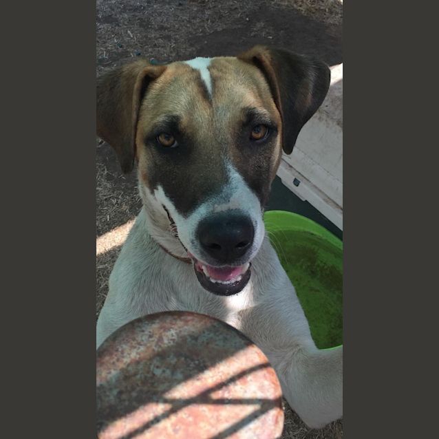 Photo of Patch