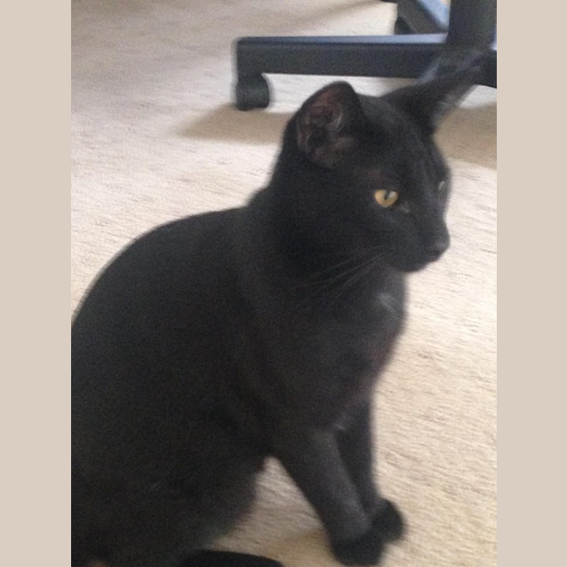Photo of Charlie