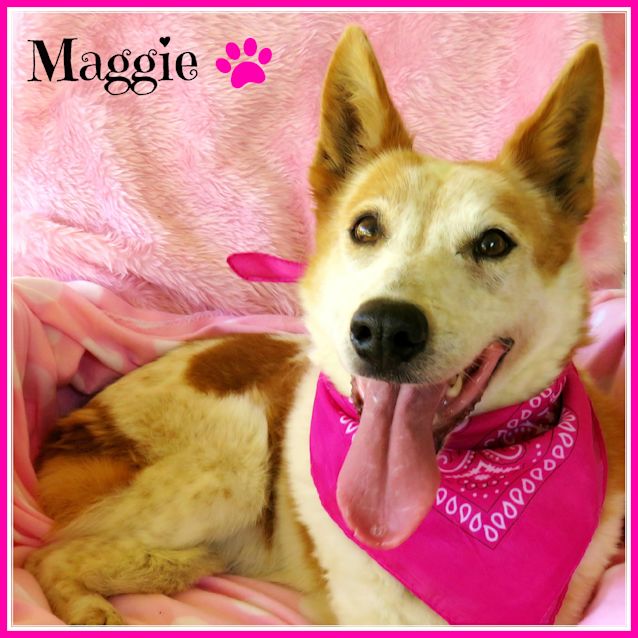 Photo of Maggie